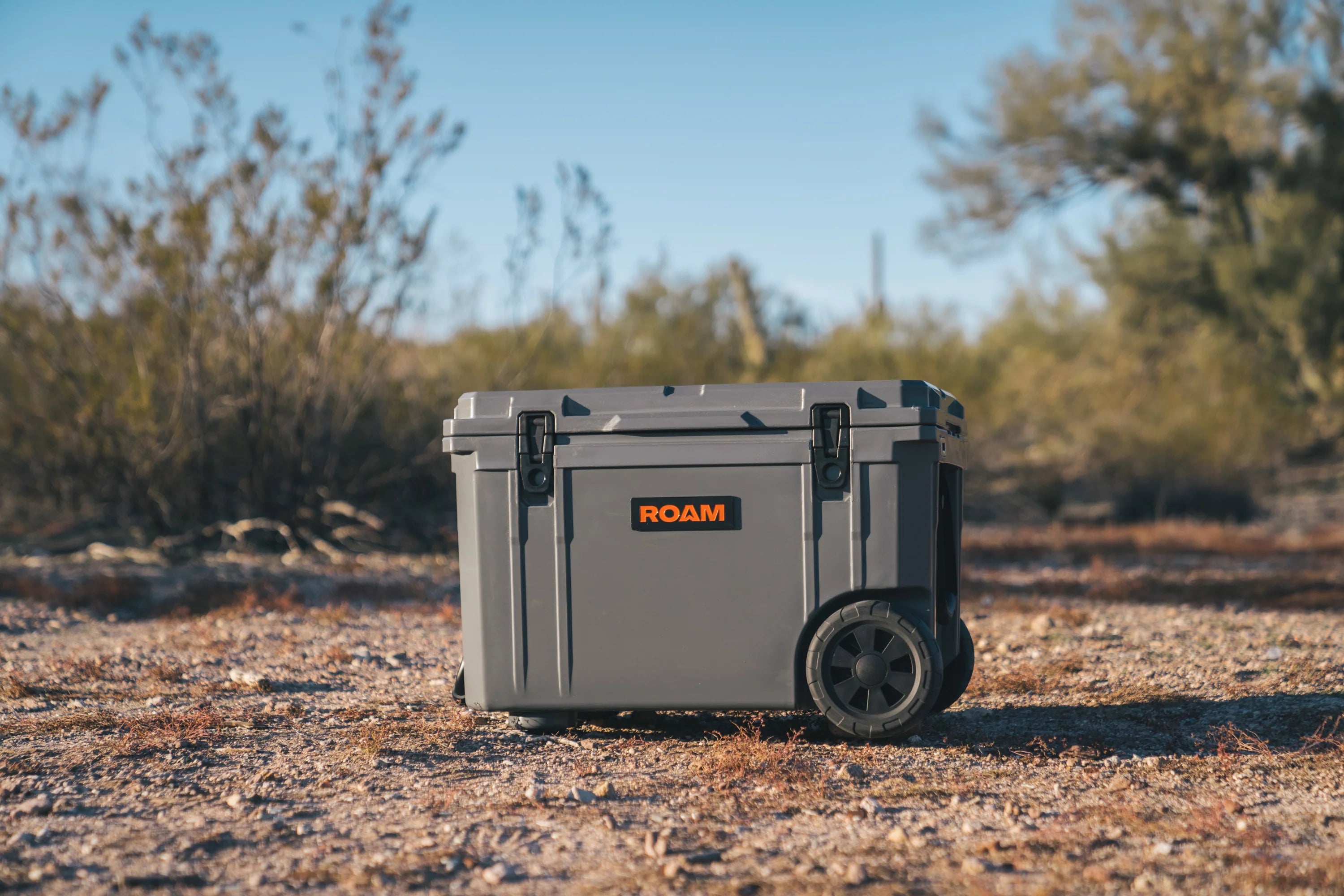 Coolers – engine13